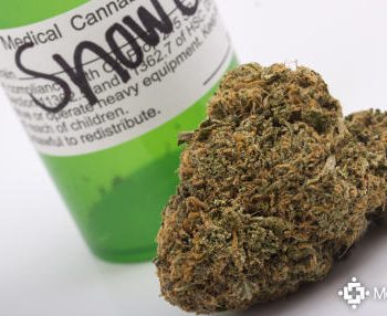 Snowcap THC Oil Tinctures