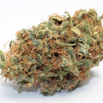Bubble Gum Strain