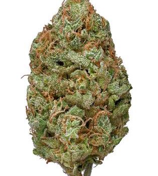 Purple Trainwreck strain