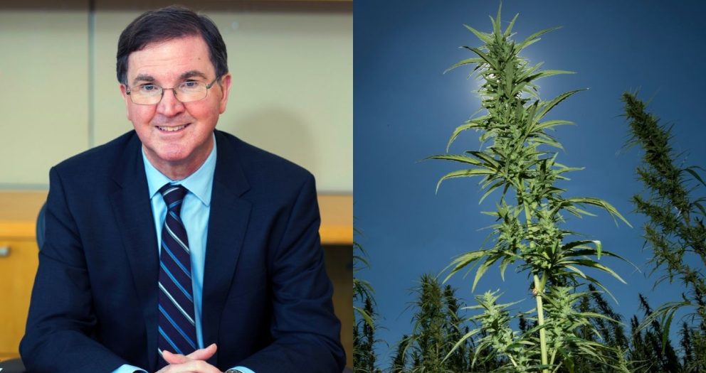 A Q&A With the Scientist Who Discovered Cannabis Can Prevent COVID-19