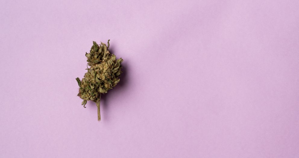 What to Know About That ‘Cannabis Prevents COVID’ Study