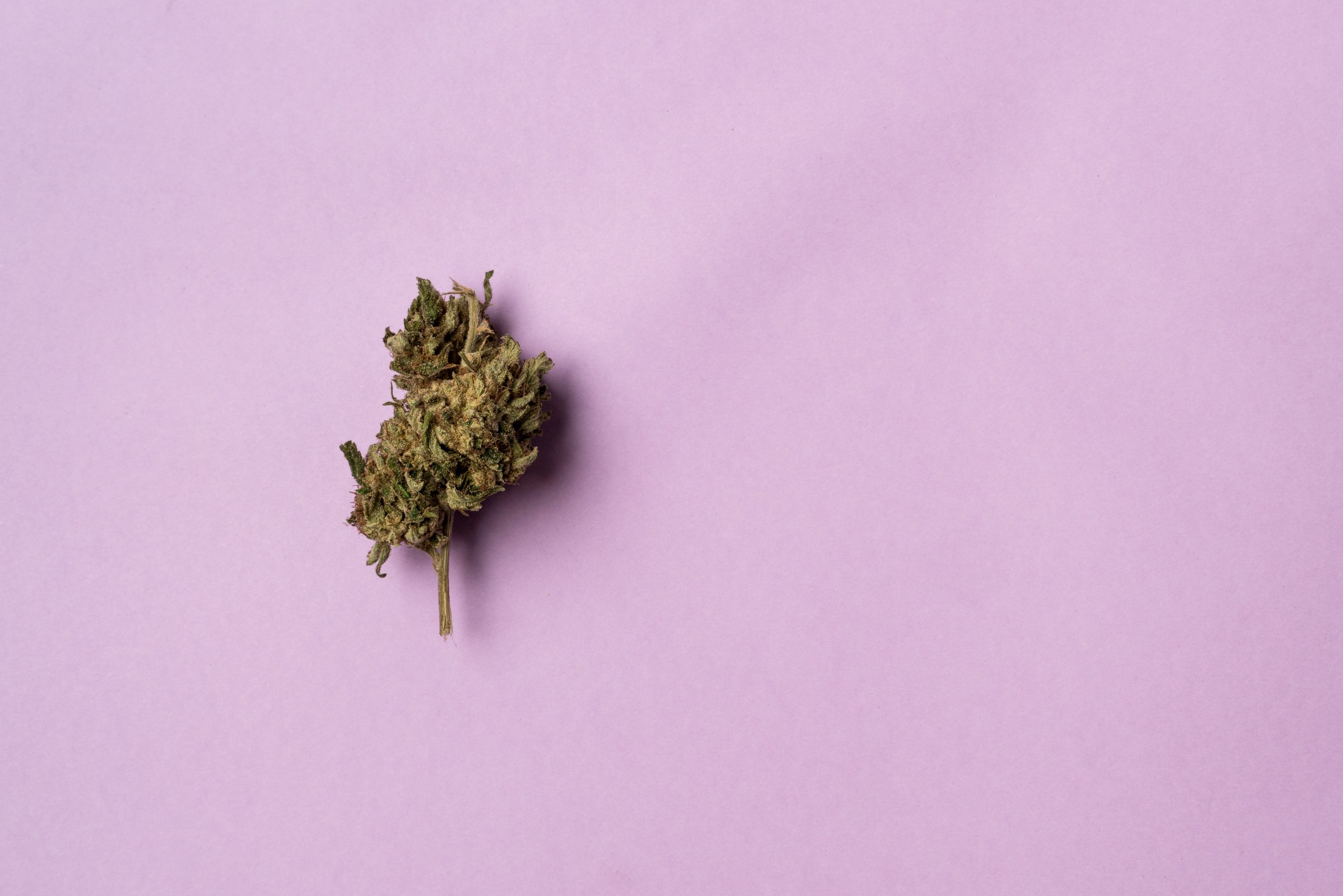 What to Know About That ‘Cannabis Prevents COVID’ Study