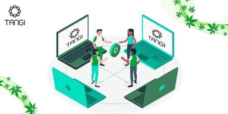 The Use of Blockchain in the Cannabis World