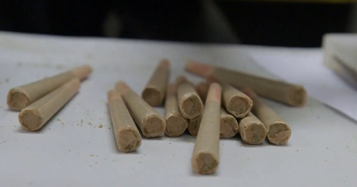 California cannabis businesses fear state’s legal industry could collapse