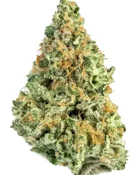 Banana MAC Strain