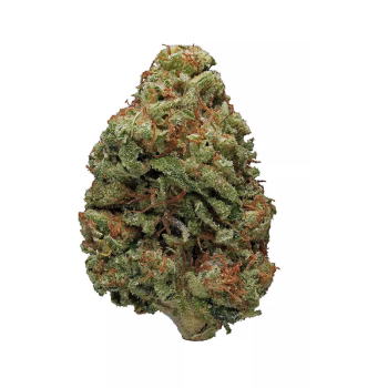 Bruce Banner Strain
