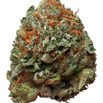 Harle Tsu Strain
