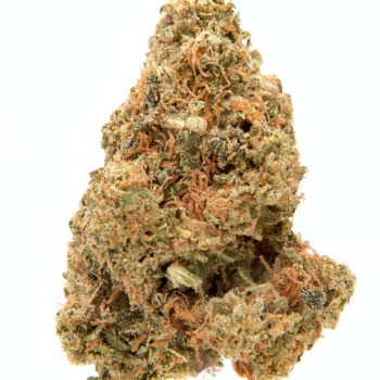 Chemdawg Sour Diesel