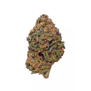 Cherry Pie Kush Strain