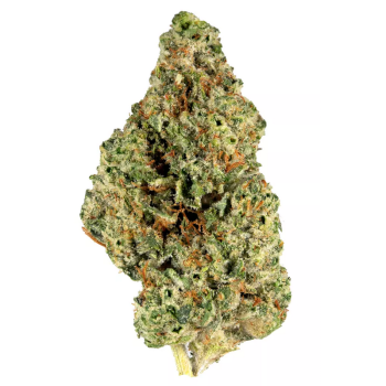 GG #4 Strain
