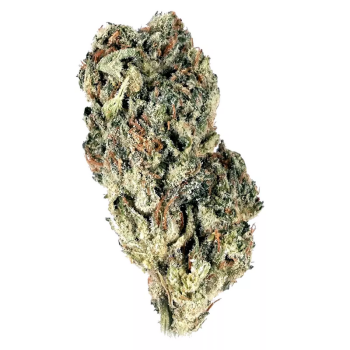 Ghost Train Haze strain