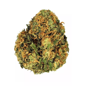 Green Crack strain