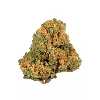 Jack Herer strain