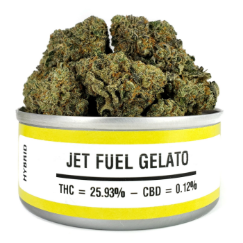 Jet Fuel Gelato Strain