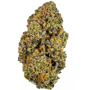 Platinum Blue Dream Strain