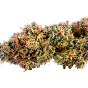 Sour Strawberry strain