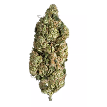Super Sour Diesel