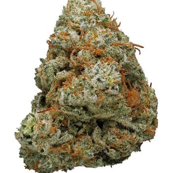 confidential-cheese-strain