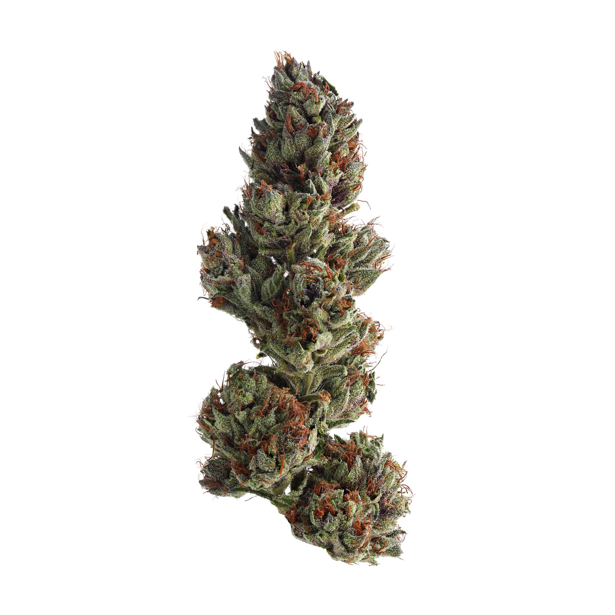 Runtz Flower Hybrid