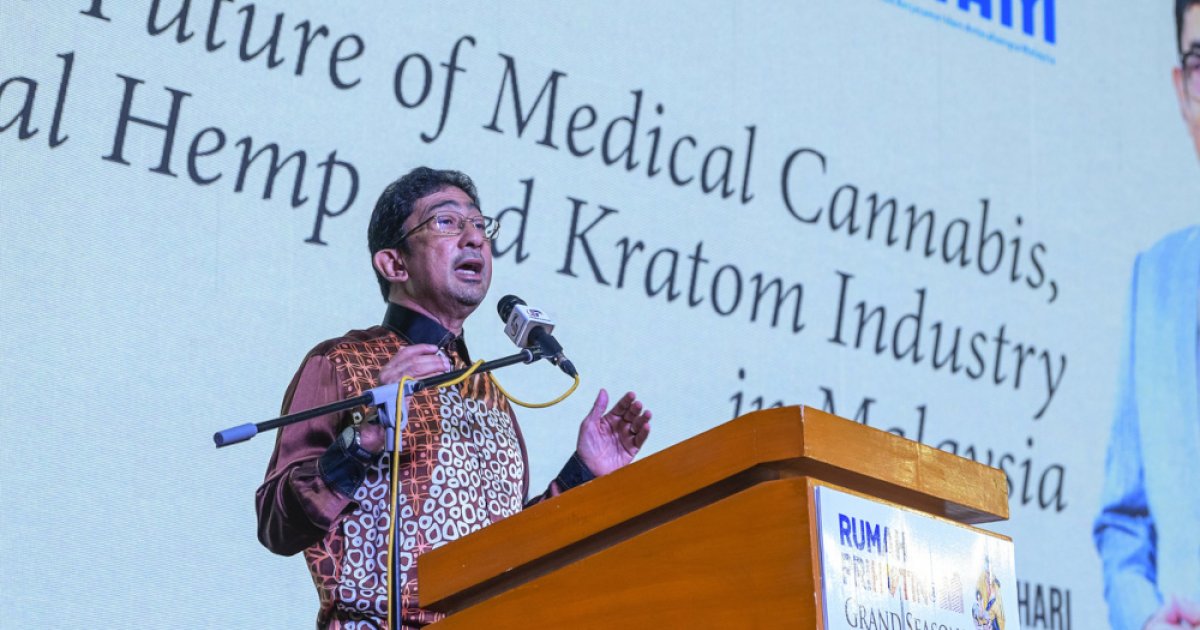 Memorandum on medical use of ketum, cannabis to be handed over to PM next week, says deputy minister