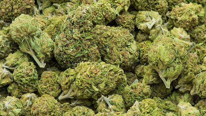 NDLEA intercepts cache of cannabis in Kano