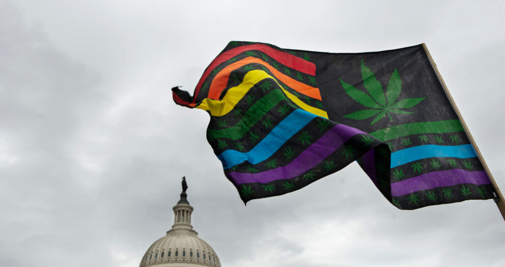 House votes to legalize cannabis, but Senate has its own ideas