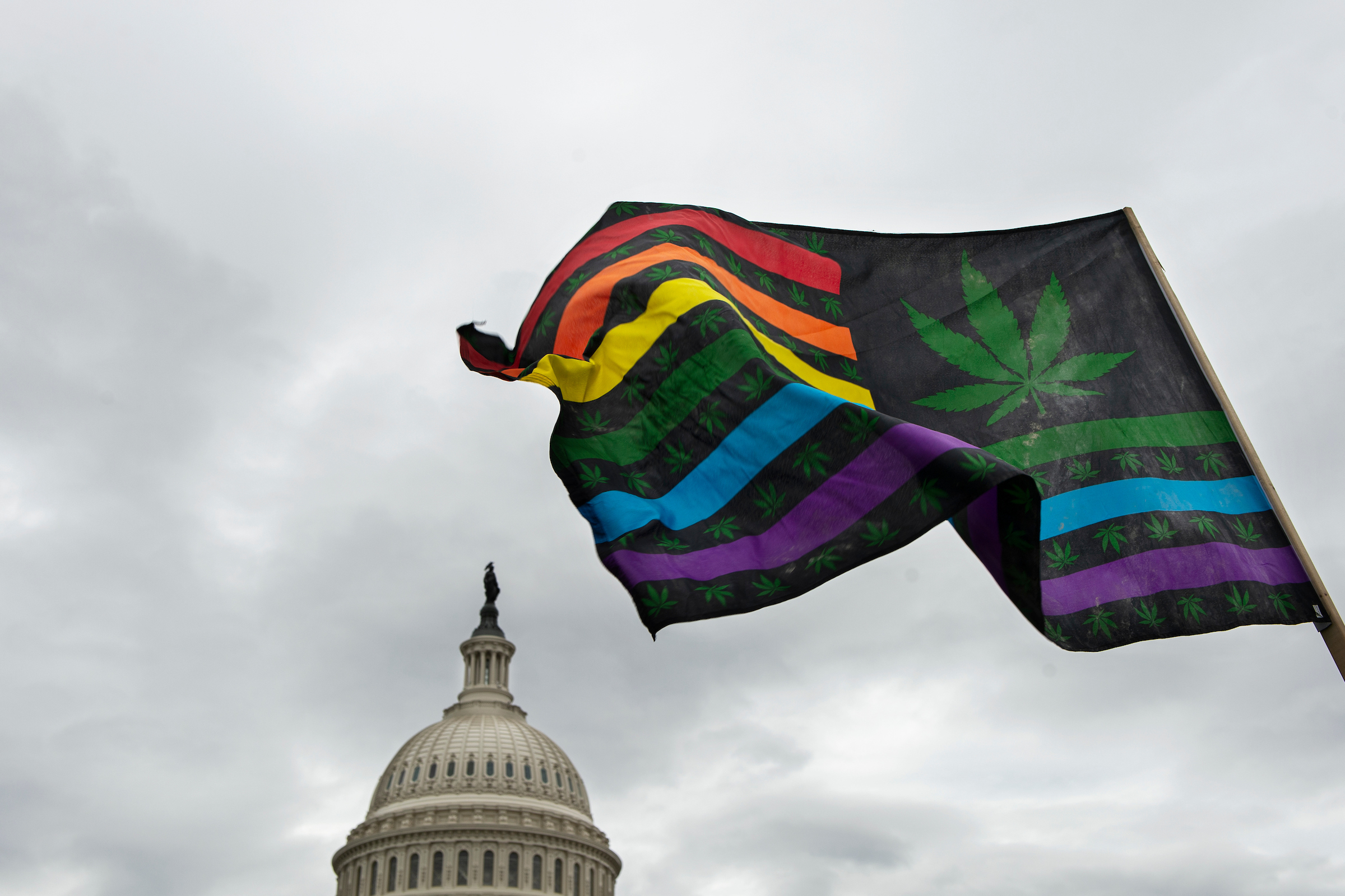 House votes to legalize cannabis, but Senate has its own ideas