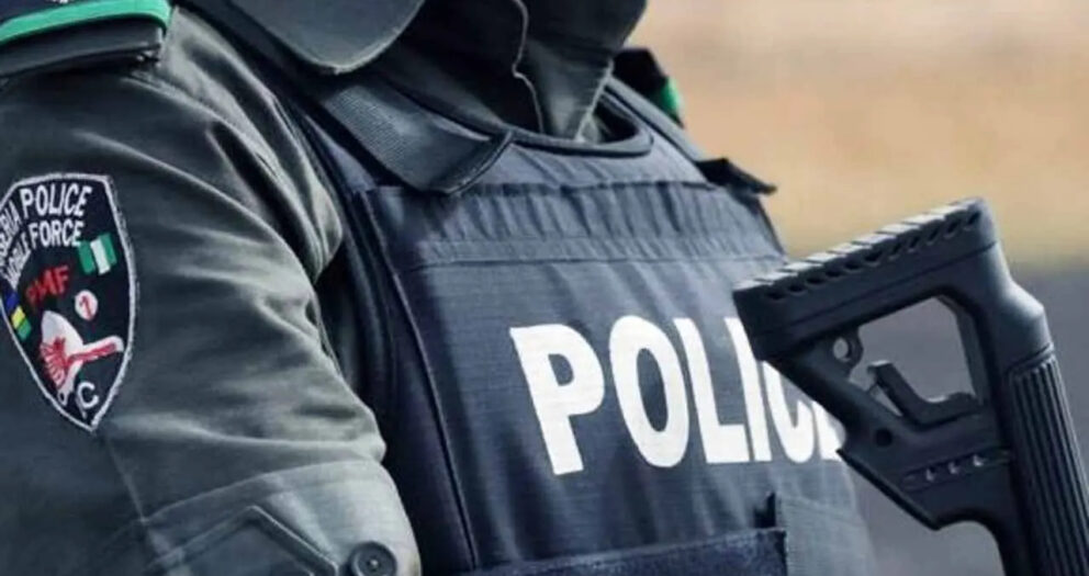 Police arrest man with 250 parcels of Cannabis in Kano