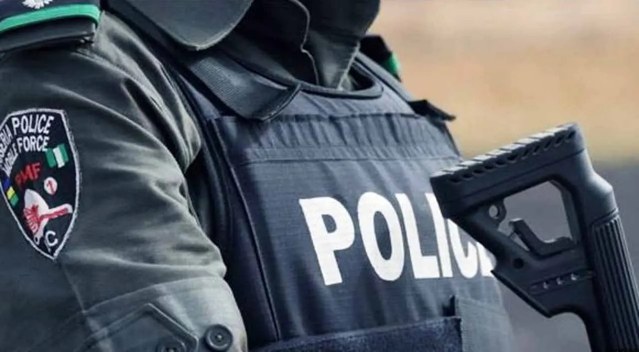 Police arrest man with 250 parcels of Cannabis in Kano