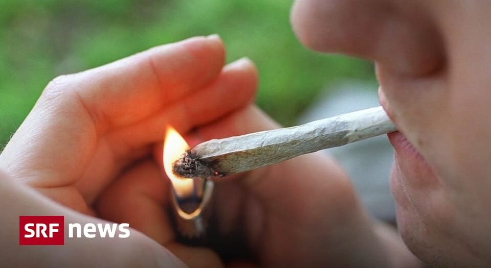 Basel sucht Kiffer für Cannabis-Studie