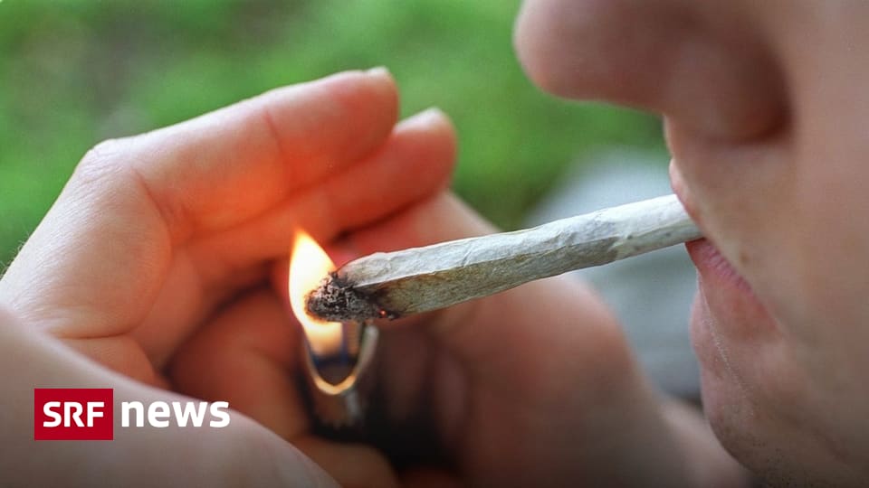 Basel sucht Kiffer für Cannabis-Studie