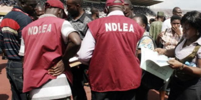 NDLEA says it raided and sealed Abuja hotel to stop cannabis party, launch of psychoactive drink