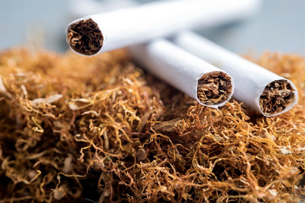 News24.com | As tobacco burns out, Malawi looks to cannabis