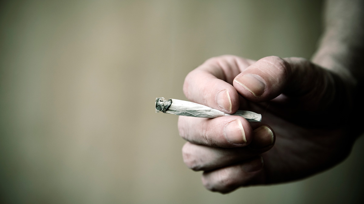 Cannabis ökar risken för annan droganvändning