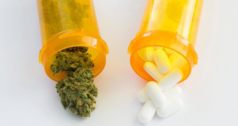 Medicinal Cannabis Reduces Pain and Need for Opiate Painkillers Among Cancer Patients