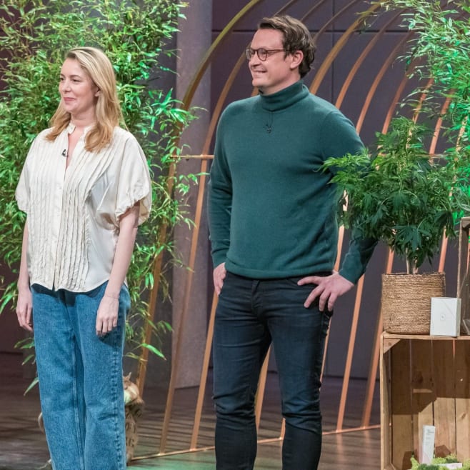Dafür kann Haft drohen -Pflanze bei den TV-Löwen