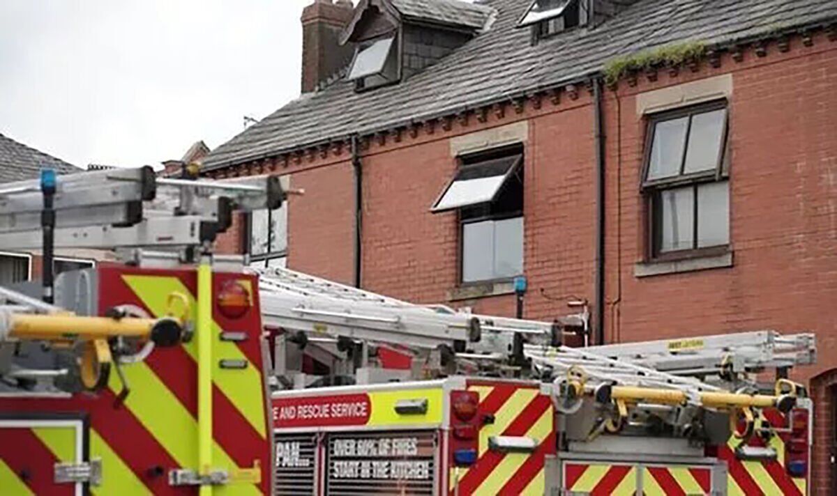 Ten puppies perish in flat blaze as cannabis farm found