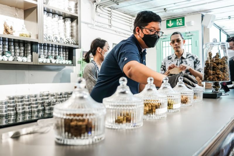 His father’s pain led him to cannabis. Now he sells it to help others in Silom.