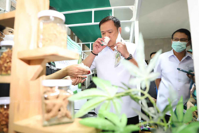 Medical specialists concerned over cannabis use, as govt plans massive handout