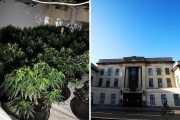 Drug dealer was at large for two years before he was found in Banbury cannabis farm