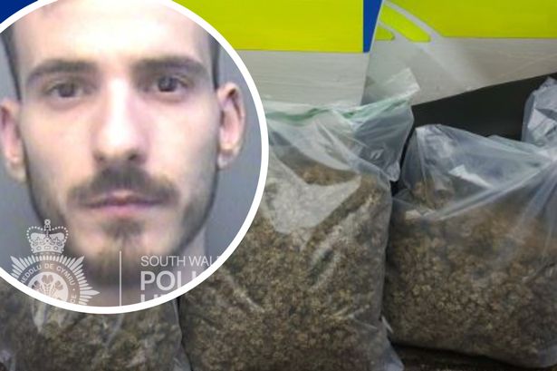Man seen leaving house full of cannabis with £1,000 cash in his pocket tells police ‘I was in the wrong place at the wrong time’