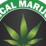 Medical cannabis programs see four-fold enrollment increase between 2016 and 2020