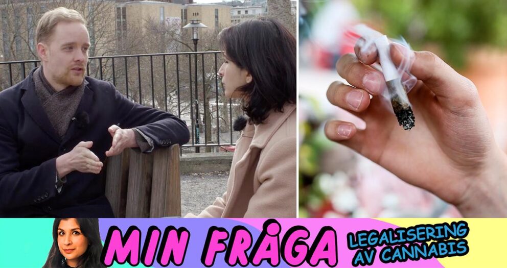 Min fråga: Legalisering av cannabis