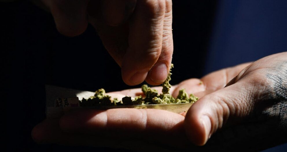 Recreational Cannabis Not As Harmless As People Think, Study Suggests