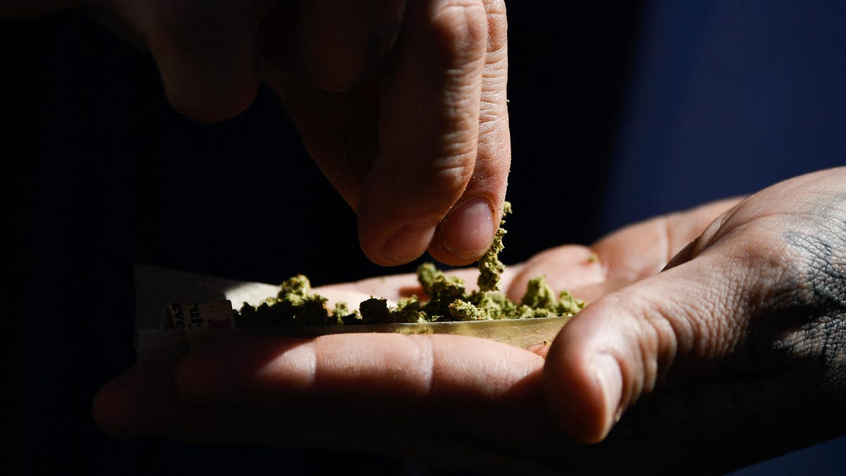 Recreational Cannabis Not As Harmless As People Think, Study Suggests