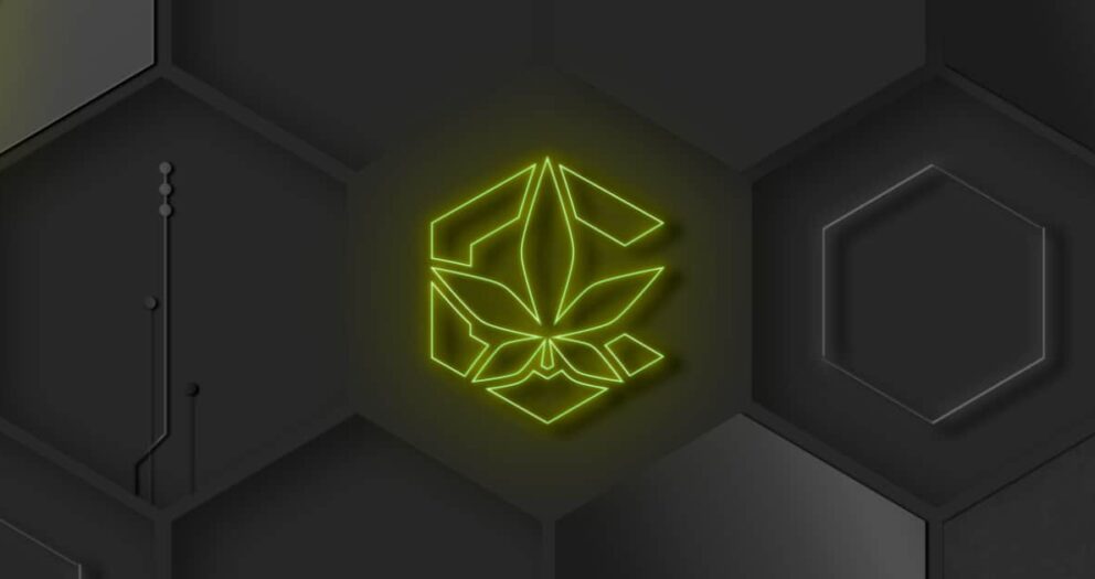 Cannumi Merges CBD With Blockchain After Years of Experience in the Cannabis Market