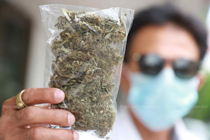 Cannabis opponents should be open to wisdom, says health minister