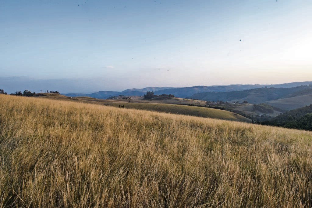 Remains of cannabis farmers executed during apartheid to be repatriated