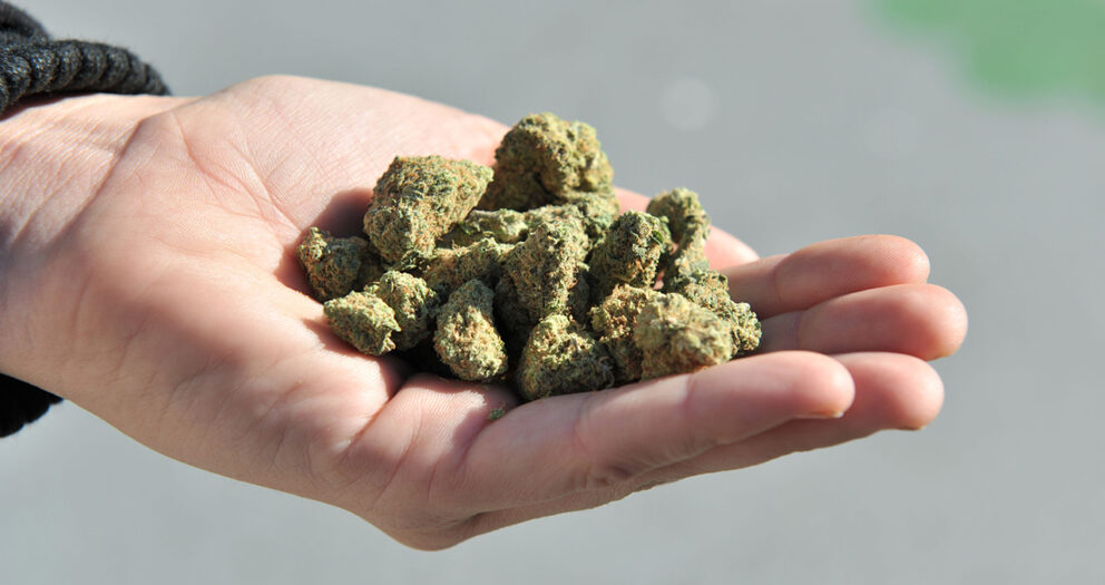 NDLEA intercepts jumbo bags of cannabis, seizes 524,720 opioids in 3 states