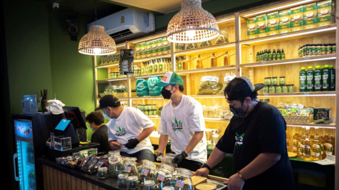 Cannabis cafe opens in Bangkok just weeks after drug decriminalised